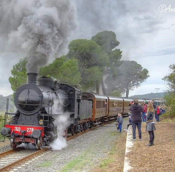 Treno del Sale - Alla scoperta delle saline di Volterra - 2 Novembre 2025